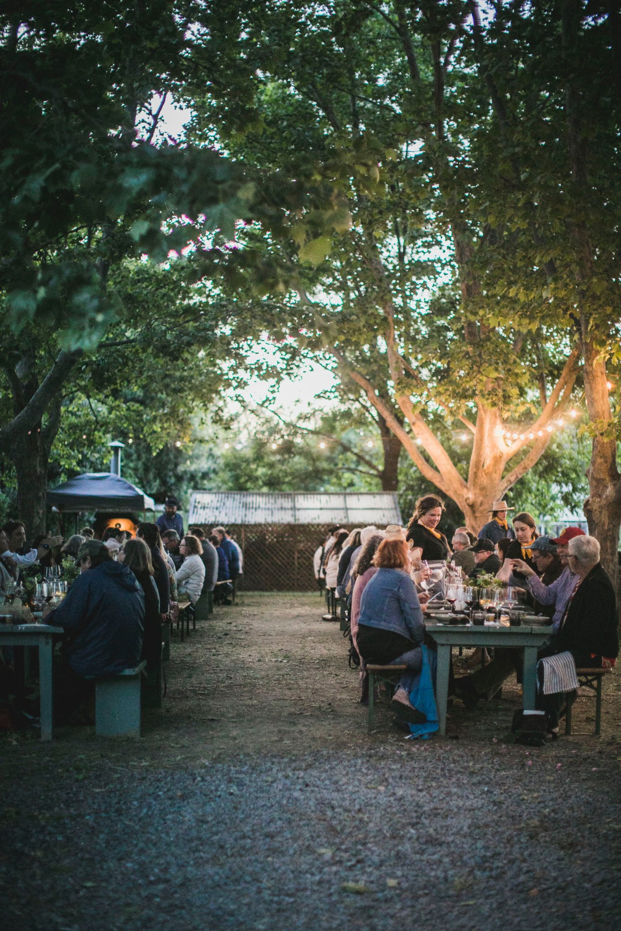Analog Reunion 2026 — May 15–17, Wildhaven Sonoma